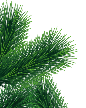 Производим подарки