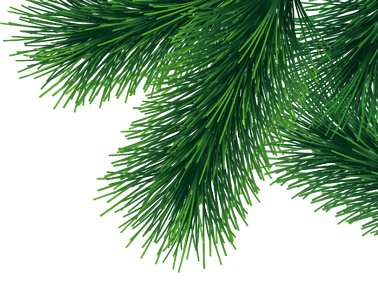 Площадь производства