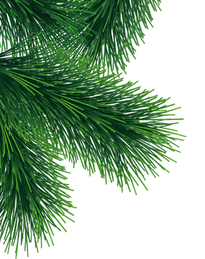 Выполненных заказов