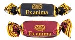 EX anima
