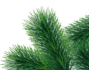 Подарки производим ежегодно